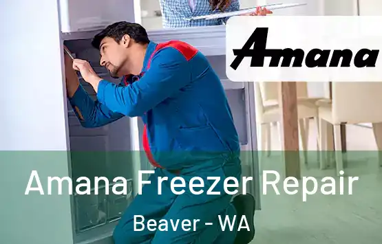  Amana Freezer Repair Beaver - WA