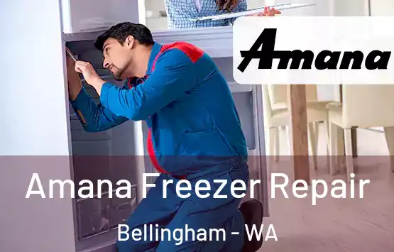  Amana Freezer Repair Bellingham - WA