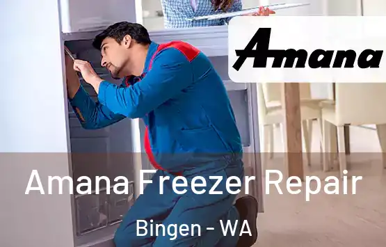  Amana Freezer Repair Bingen - WA