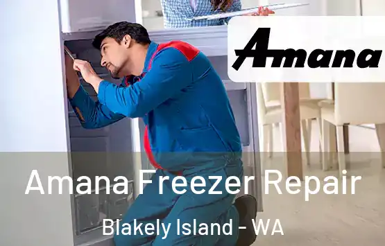  Amana Freezer Repair Blakely Island - WA