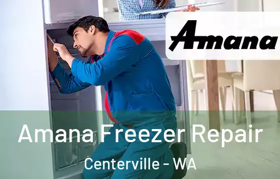  Amana Freezer Repair Centerville - WA