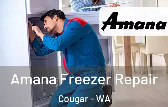  Amana Freezer Repair Cougar - WA