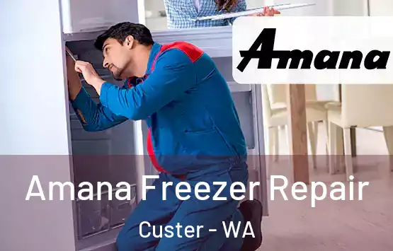  Amana Freezer Repair Custer - WA