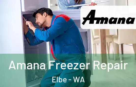 Amana Freezer Repair Elbe - WA