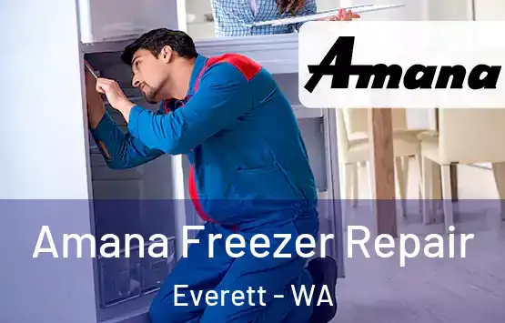  Amana Freezer Repair Everett - WA