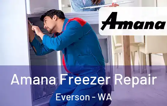  Amana Freezer Repair Everson - WA
