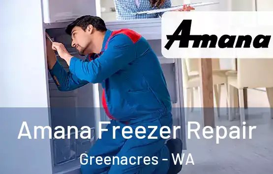  Amana Freezer Repair Greenacres - WA