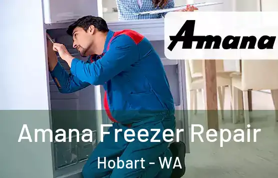  Amana Freezer Repair Hobart - WA