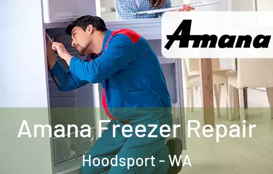  Amana Freezer Repair Hoodsport - WA