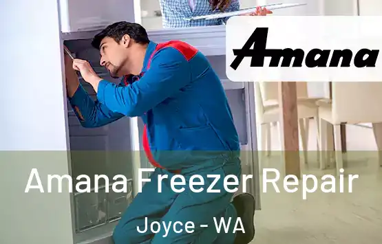  Amana Freezer Repair Joyce - WA