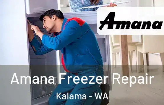  Amana Freezer Repair Kalama - WA
