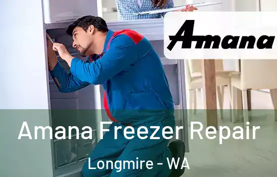  Amana Freezer Repair Longmire - WA