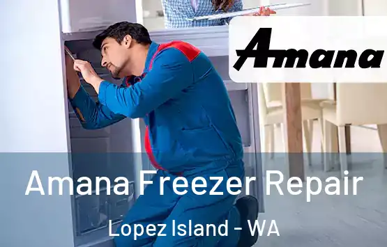  Amana Freezer Repair Lopez Island - WA