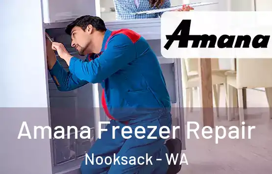  Amana Freezer Repair Nooksack - WA