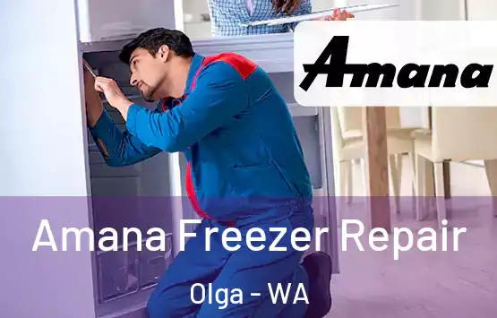  Amana Freezer Repair Olga - WA