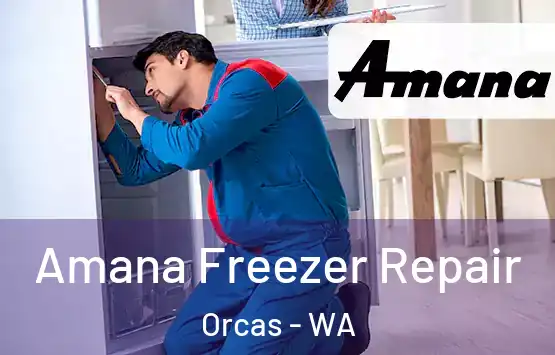  Amana Freezer Repair Orcas - WA