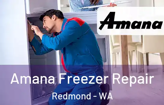  Amana Freezer Repair Redmond - WA