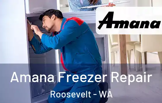  Amana Freezer Repair Roosevelt - WA