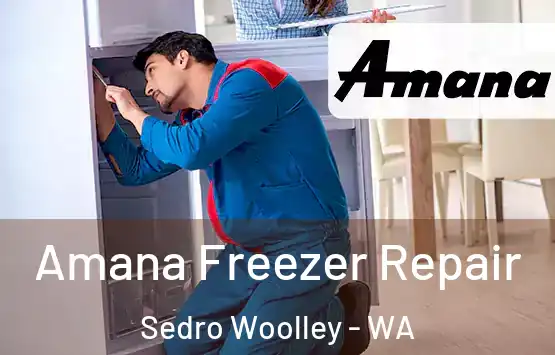  Amana Freezer Repair Sedro Woolley - WA