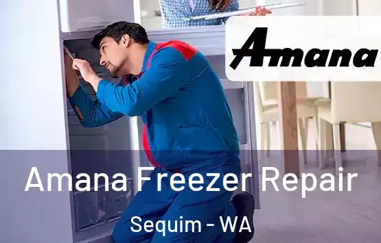  Amana Freezer Repair Sequim - WA