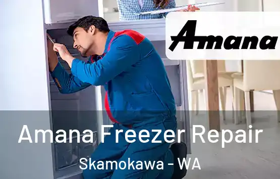  Amana Freezer Repair Skamokawa - WA