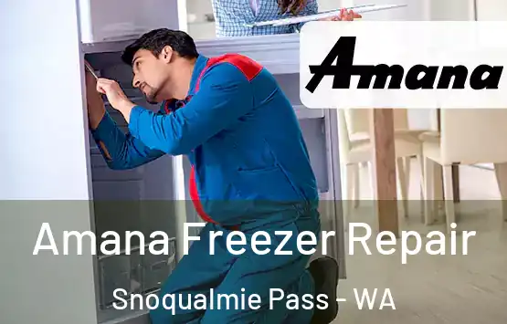  Amana Freezer Repair Snoqualmie Pass - WA