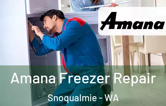  Amana Freezer Repair Snoqualmie - WA