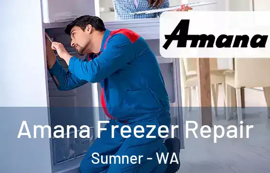  Amana Freezer Repair Sumner - WA