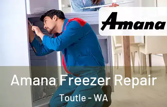  Amana Freezer Repair Toutle - WA