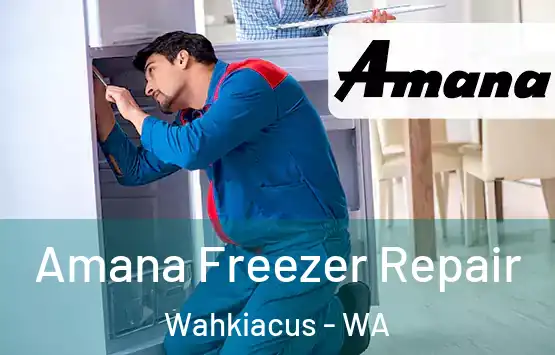  Amana Freezer Repair Wahkiacus - WA