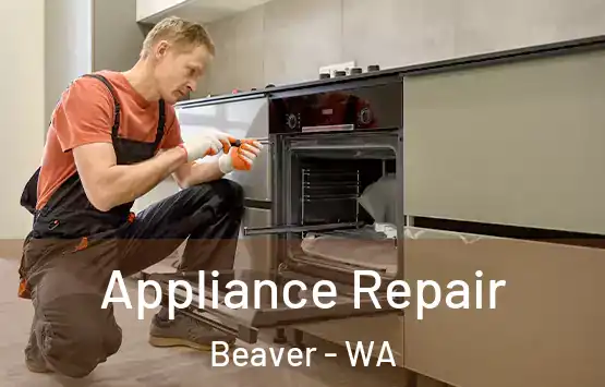  Appliance Repair Beaver - WA