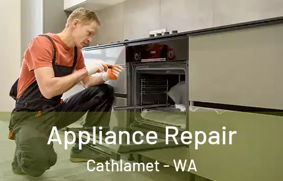  Appliance Repair Cathlamet - WA
