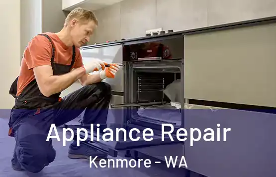  Appliance Repair Kenmore - WA