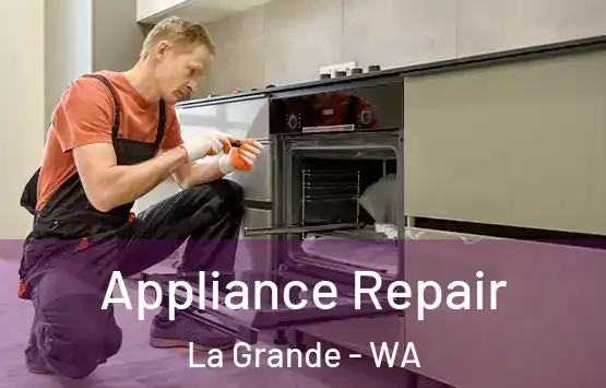  Appliance Repair La Grande - WA