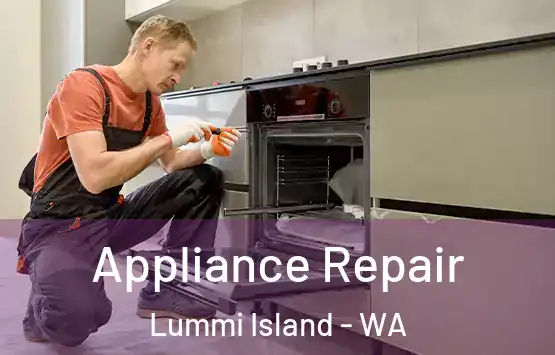  Appliance Repair Lummi Island - WA