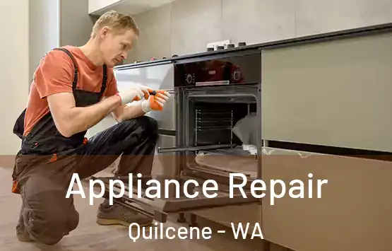  Appliance Repair Quilcene - WA