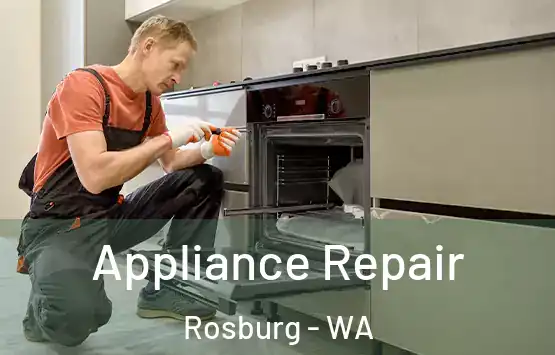  Appliance Repair Rosburg - WA