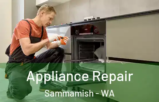  Appliance Repair Sammamish - WA