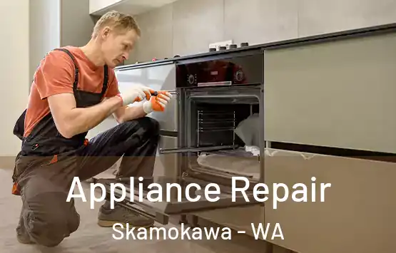  Appliance Repair Skamokawa - WA
