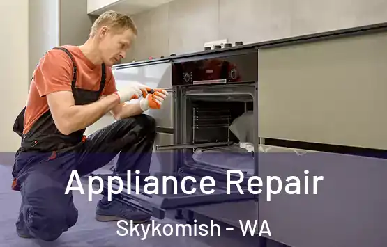  Appliance Repair Skykomish - WA