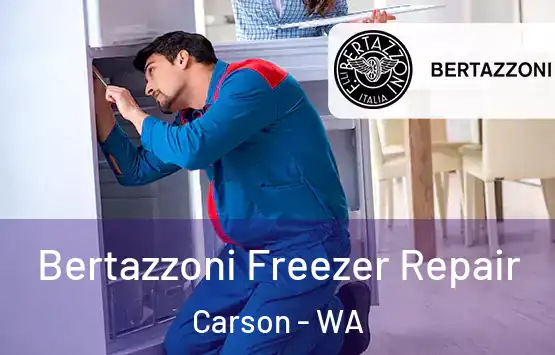 Bertazzoni Freezer Repair Carson - WA