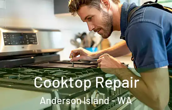  Cooktop Repair Anderson Island - WA
