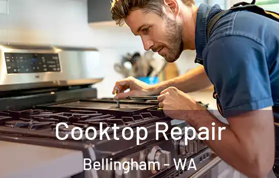  Cooktop Repair Bellingham - WA