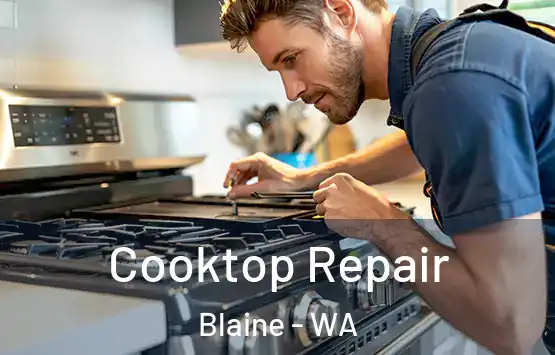  Cooktop Repair Blaine - WA