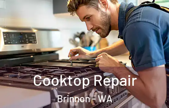  Cooktop Repair Brinnon - WA