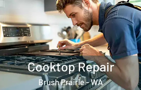  Cooktop Repair Brush Prairie - WA