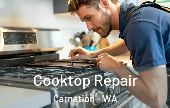  Cooktop Repair Carnation - WA