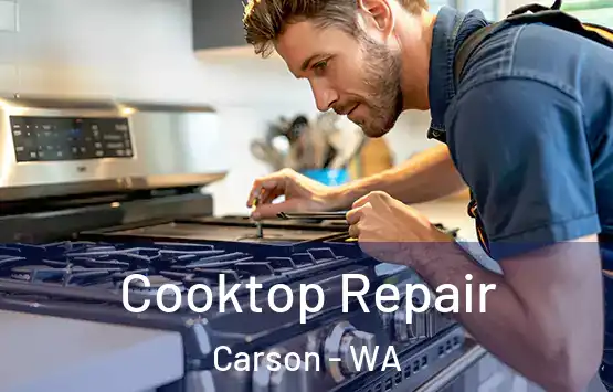  Cooktop Repair Carson - WA