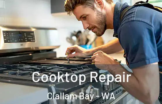  Cooktop Repair Clallam Bay - WA