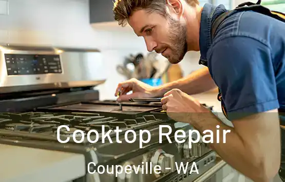  Cooktop Repair Coupeville - WA